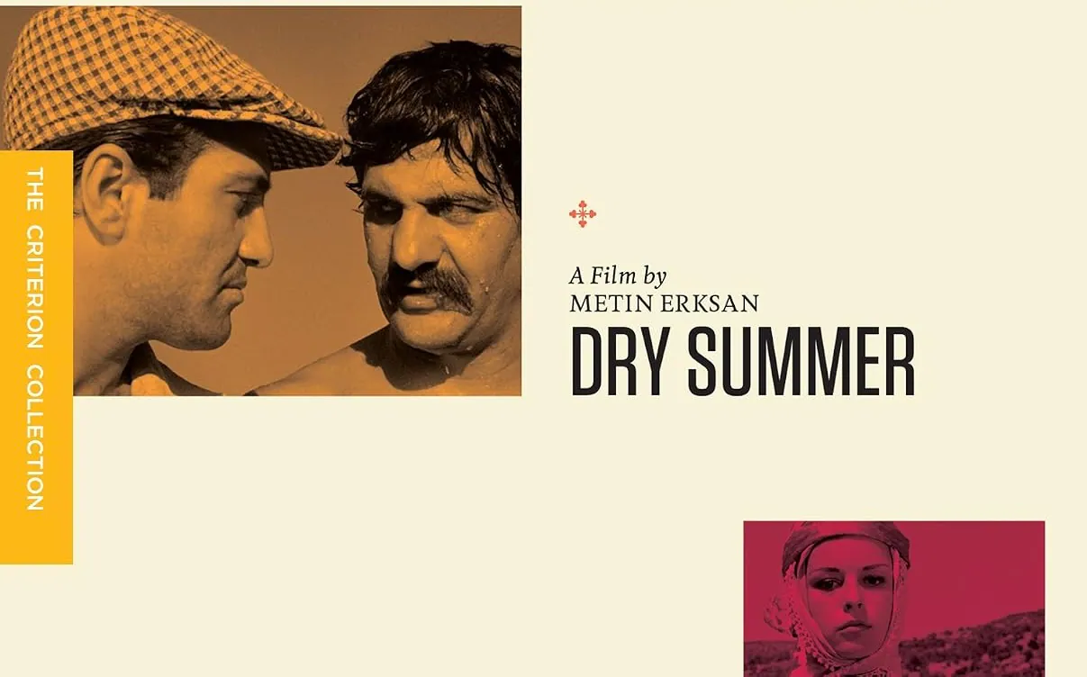 "Susuz Yaz", 1963